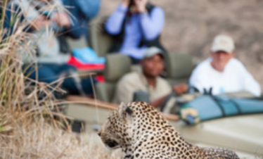 Game Drive – Zambezi National Park