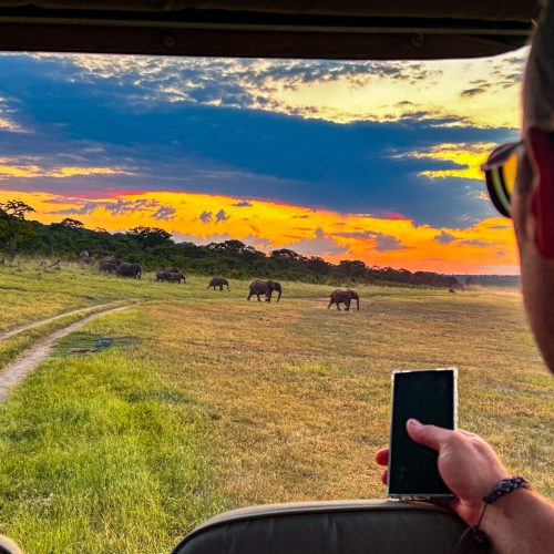 Private Game Drive