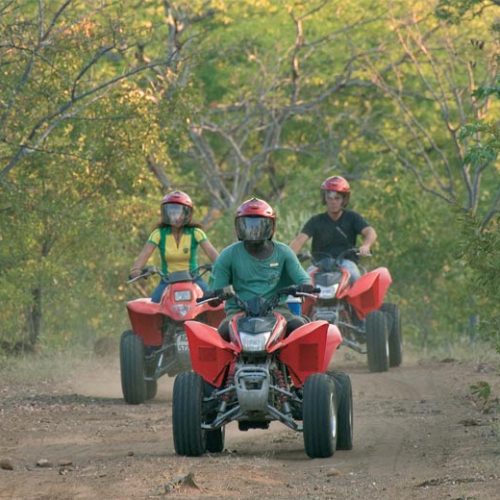 Quad Bike Adventure