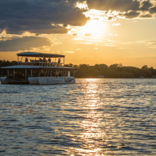 Zambezi Sundowner Cruise